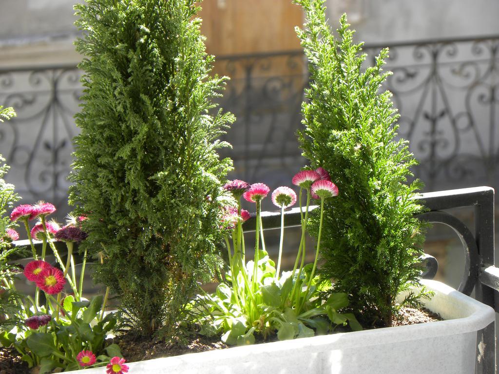 Prince Machabeli Apartments Tbilisi Bagian luar foto